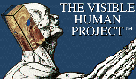 Visible Human - 6.983 K